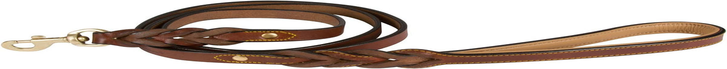 Leather Braided Dog Leash, Brown 6Ft X 3/4 Inch, Naturally Tanned 6 Foot Full Grain Leather Lead